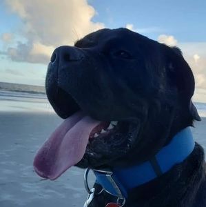 Meet your Posher, James